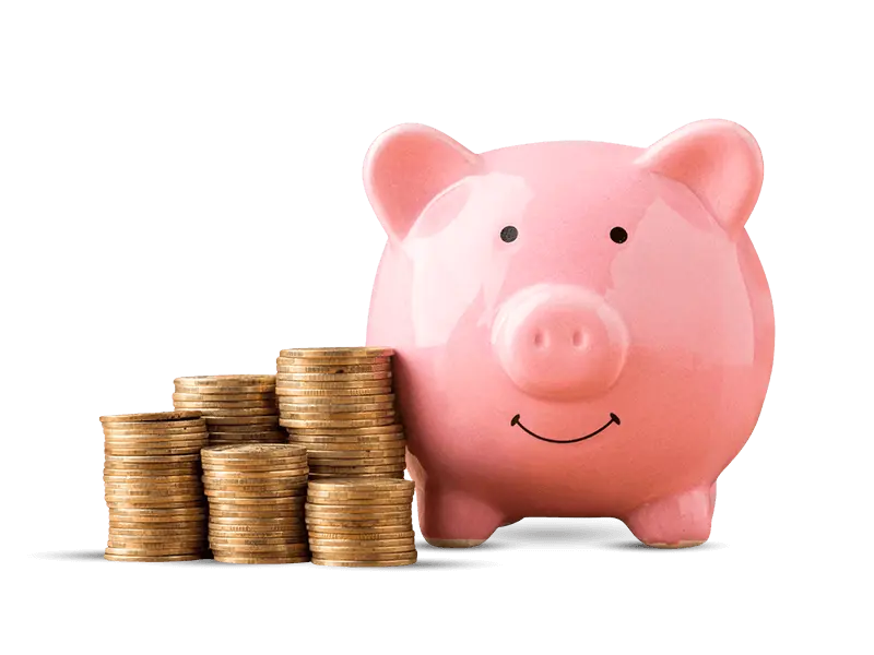 Skorzystasz z oferty Nowa Energia z gwarancją stałej ceny