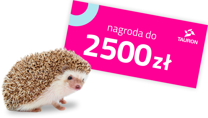 Nagroda do 2500zł