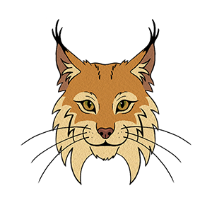 Ryś