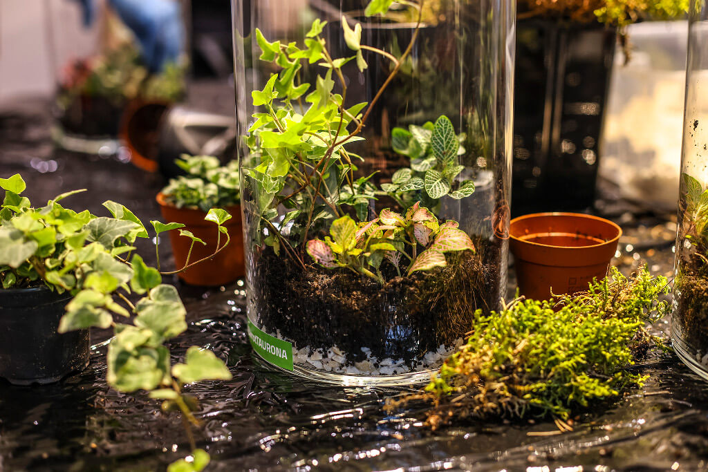 21-06-2022_foto ASTASHOW STUDIO  (114)