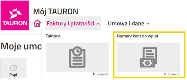 TAURON Polska Energia